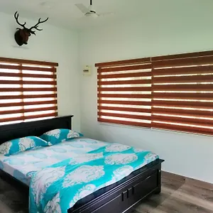Noah's Nest Tree House Homestay